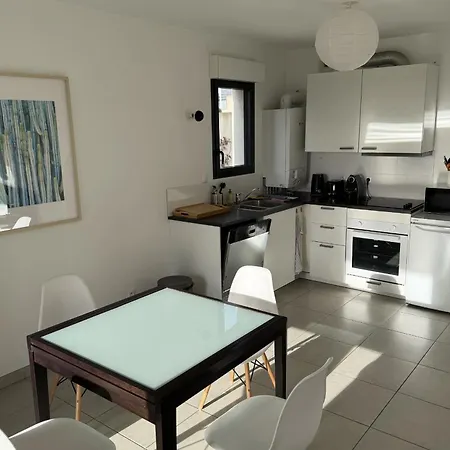 Spacious T3 With Terrace In